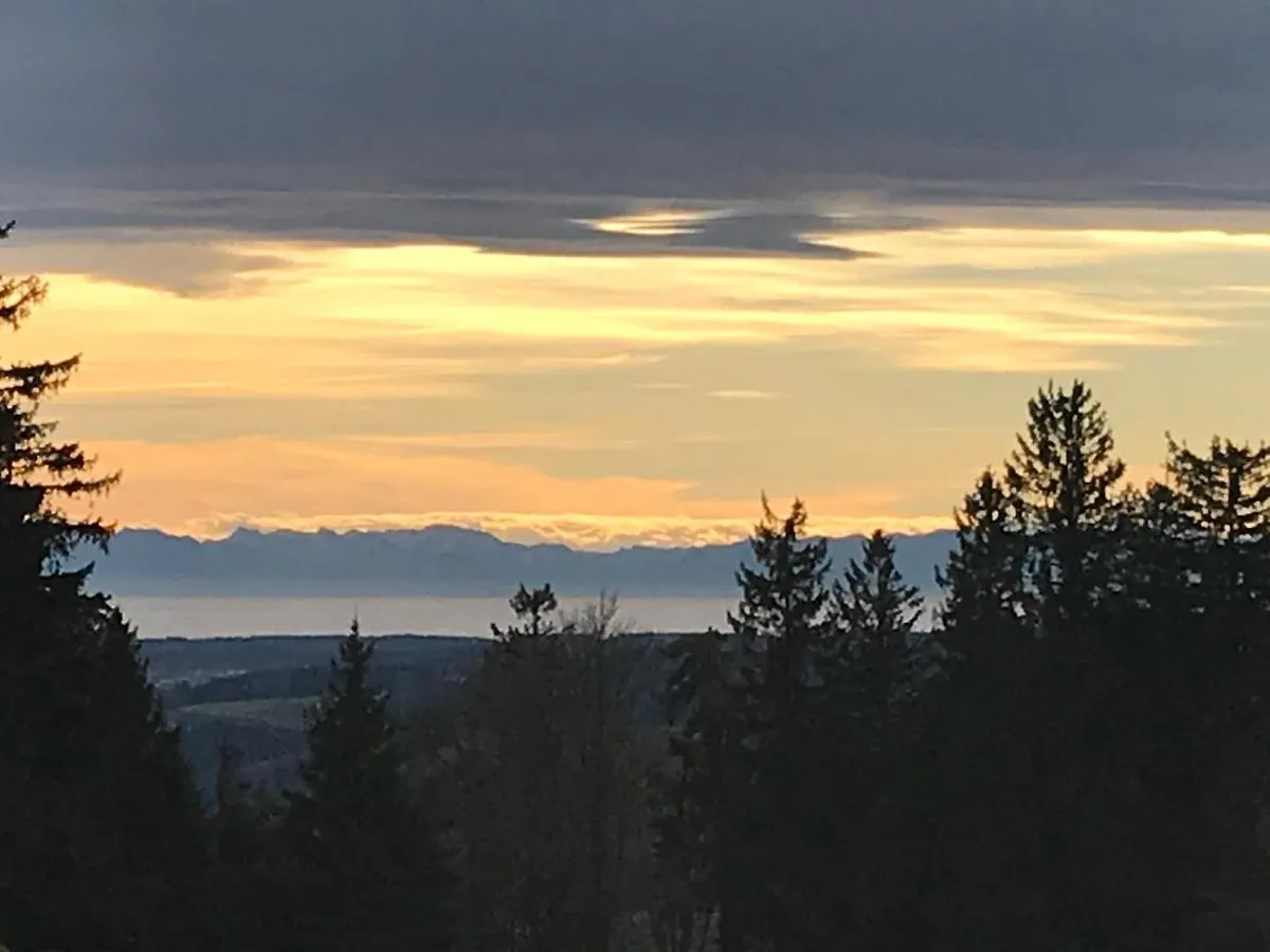 Stan'S Bed & Breakfast Untergriesbach