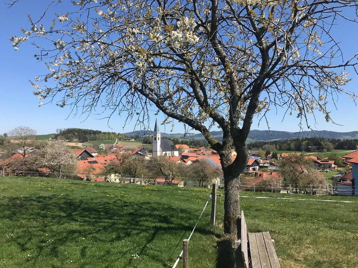 Stan'S Bed & Breakfast Untergriesbach